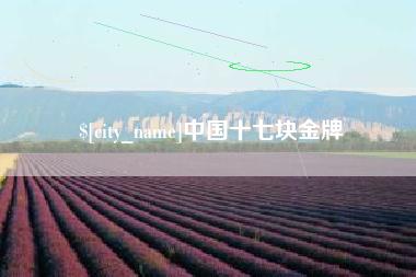 长垣中国十七块金牌