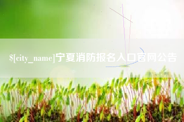 长垣宁夏消防报名入口官网公告