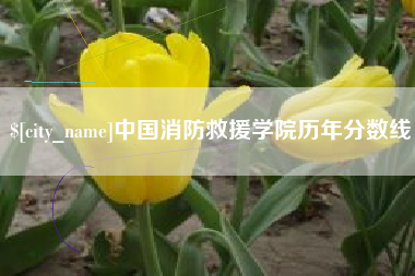 长垣中国消防救援学院历年分数线