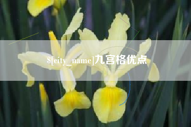 长垣九宫格优点