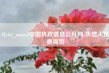长垣中国执政信息公开网-失信人员查询页