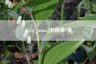 长垣中国第9金