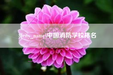 长垣中国消防学校排名