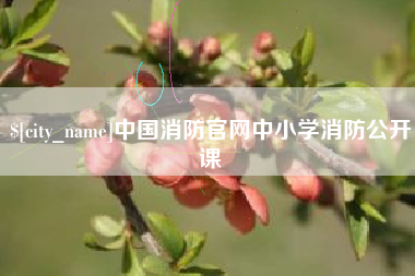 长垣中国消防官网中小学消防公开课