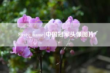长垣中国冠军头像图片