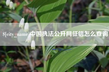 长垣中国执法公开网征信怎么查询