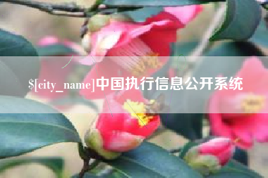长垣中国执行信息公开系统