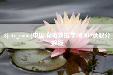 长垣中国消防救援学院2019录取分数线