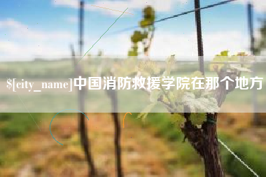 长垣中国消防救援学院在那个地方