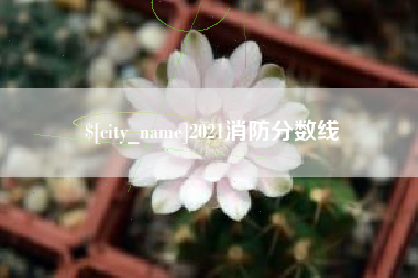 长垣2021消防分数线