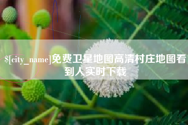 长垣免费卫星地图高清村庄地图看到人实时下载