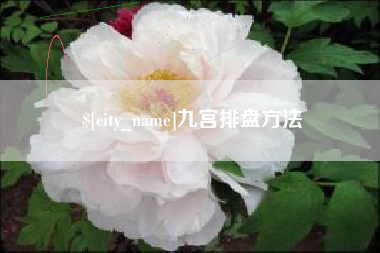 长垣九宫排盘方法