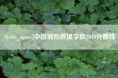 长垣中国消防救援学院2018分数线