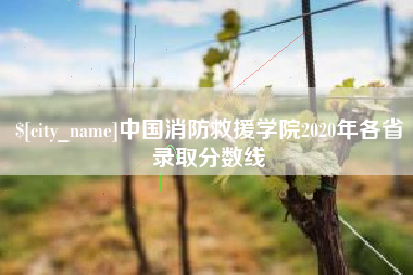 长垣中国消防救援学院2020年各省录取分数线