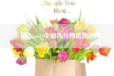 长垣中国执行网信息官网