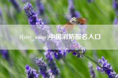 长垣中国消防报名入口