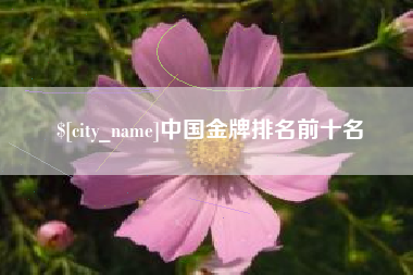 长垣中国金牌排名前十名