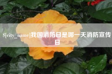长垣我国消防日是哪一天消防宣传日
