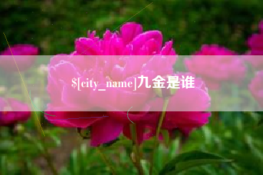 长垣九金是谁