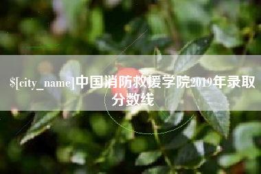 长垣中国消防救援学院2019年录取分数线