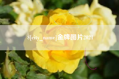 长垣金牌图片2021
