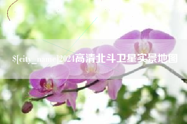 长垣2024高清北斗卫星实景地图