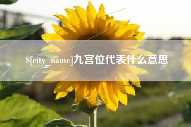 长垣九宫位代表什么意思