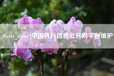 长垣中国执行信息公开网平台维护