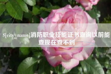 长垣消防职业技能证书查询以前能查现在查不到