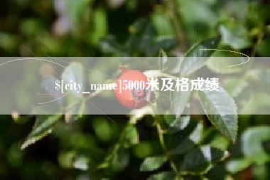 长垣5000米及格成绩