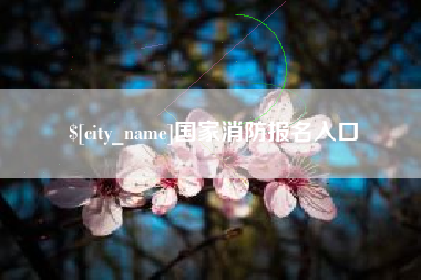 长垣国家消防报名入口