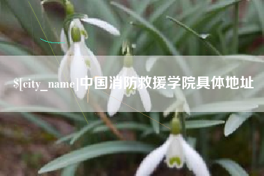 长垣中国消防救援学院具体地址