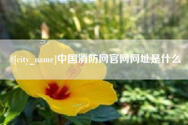长垣中国消防网官网网址是什么
