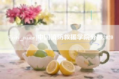 长垣中国消防救援学院分数2020