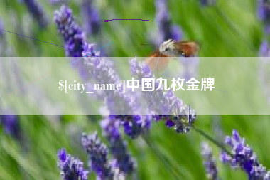 长垣中国九枚金牌