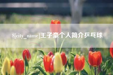 长垣王子豪个人简介乒乓球