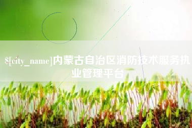 长垣内蒙古自治区消防技术服务执业管理平台