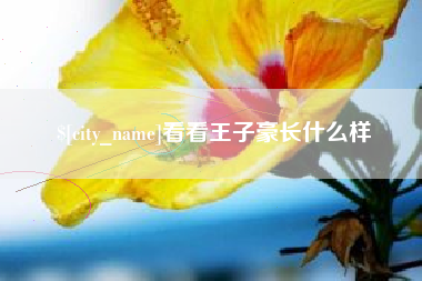 长垣看看王子豪长什么样