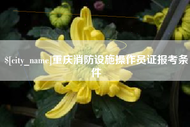 长垣重庆消防设施操作员证报考条件