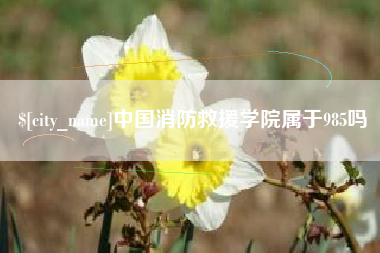 长垣中国消防救援学院属于985吗