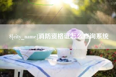 长垣消防资格证怎么查询系统