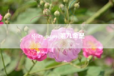 长垣第九金是