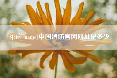 长垣中国消防官网网址是多少