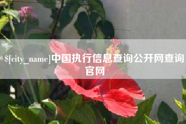 长垣中国执行信息查询公开网查询官网