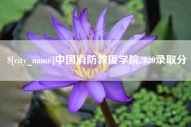 长垣中国消防救援学院2020录取分