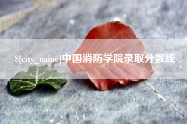 长垣中国消防学院录取分数线