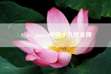 长垣中国十九枚金牌