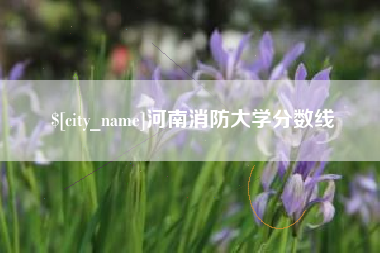长垣河南消防大学分数线