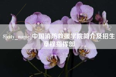 长垣中国消防救援学院简介及招生章程指挥部