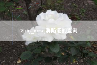 长垣消防证的查询